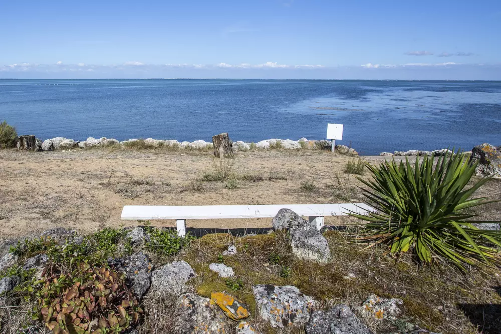 Camping L'Ostréa4 Sterren★★★★