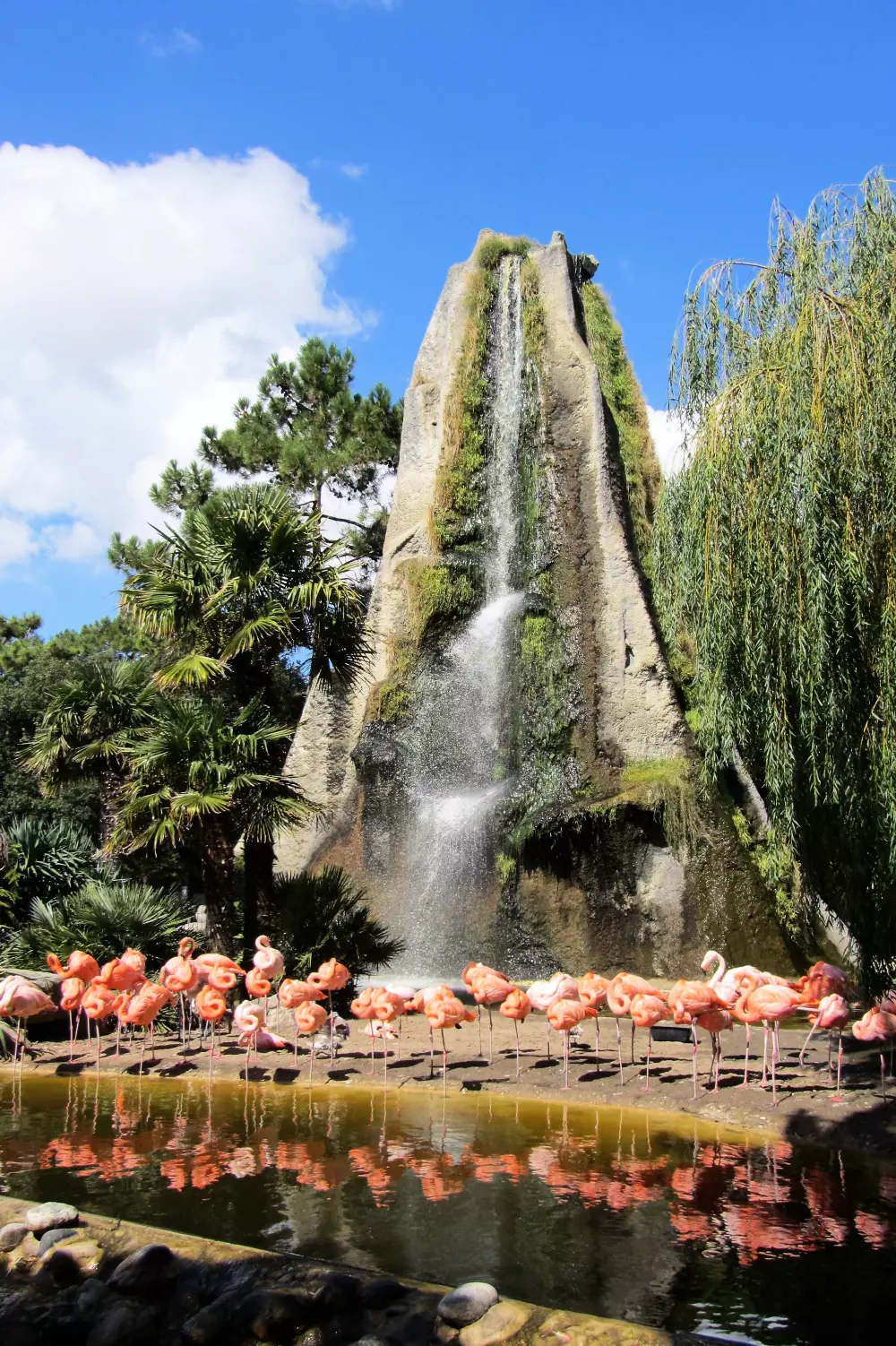 Camping L'Ostréa4 Sterren★★★★