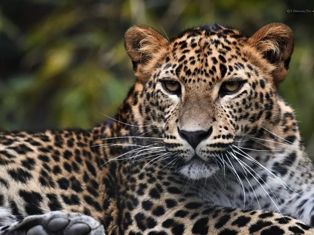 Kemping Le Heron 3 Csillagok★★★