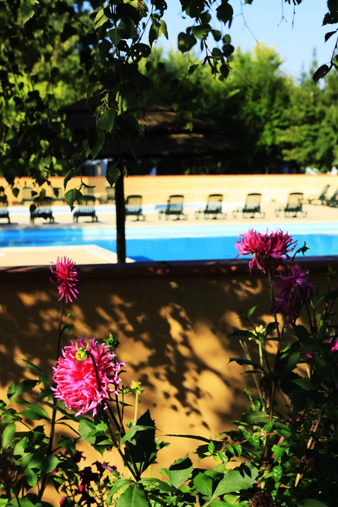 Campsite Le Perpetuum 3 Csillagok★★★