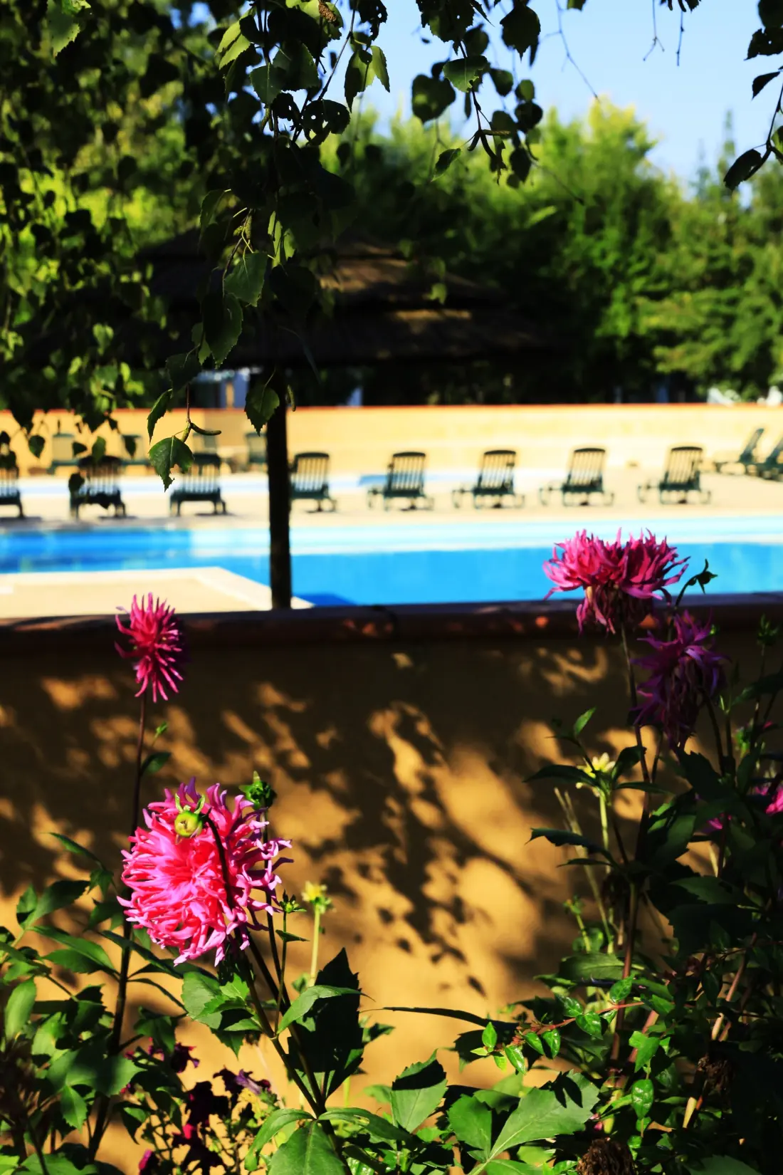 Campsite Le Perpetuum 3 Csillagok★★★