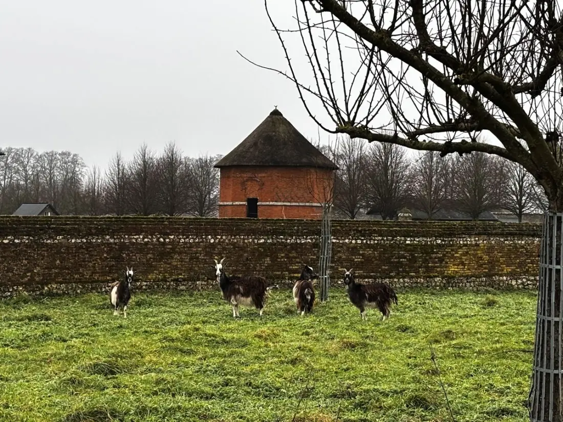 Gîte de France Gîtes de france® - Armand háza 4 fül