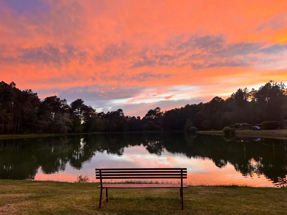 Billeder af Gaia Ecolodge Tæt på