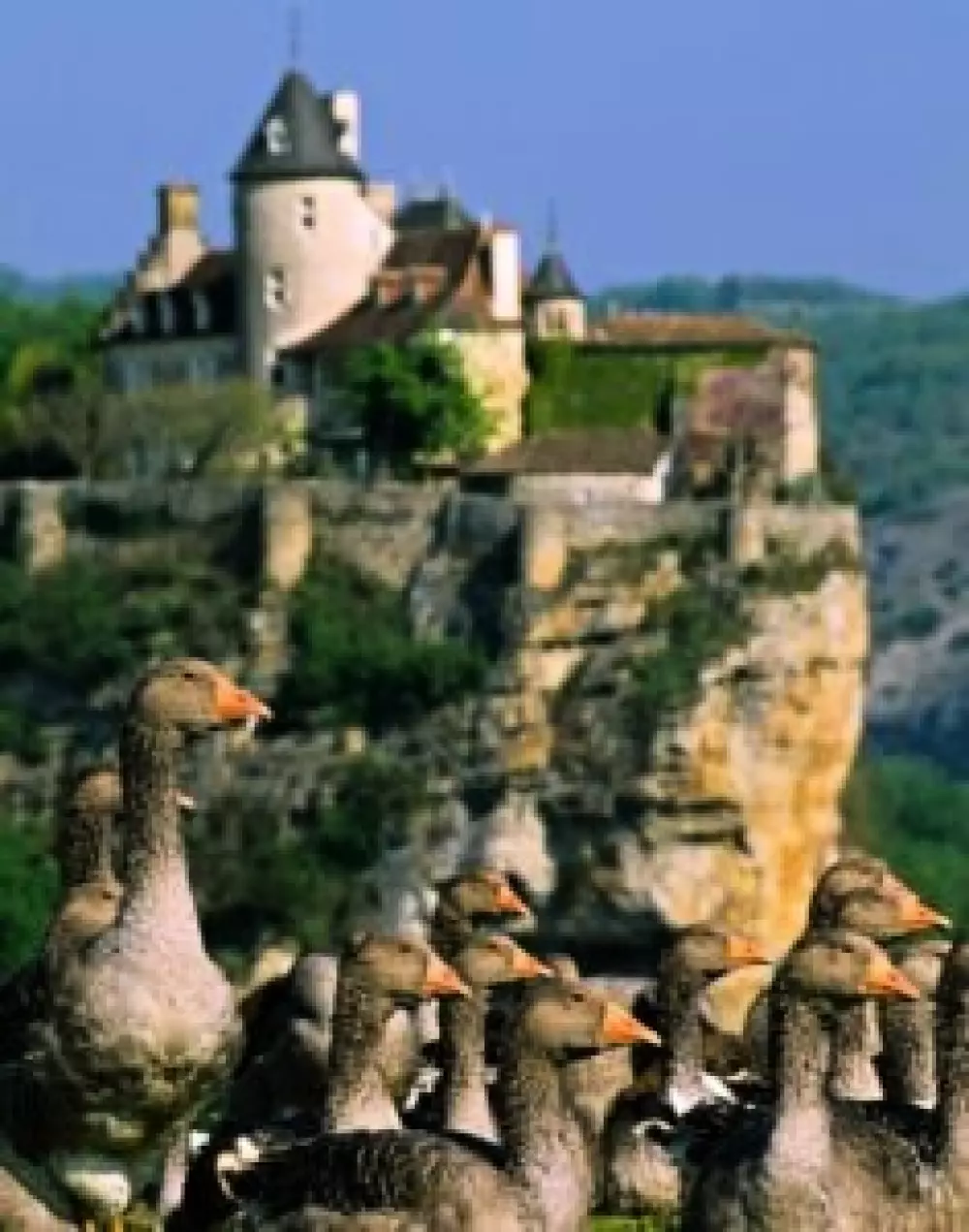 Billeder af Gaia Ecolodge Tæt på