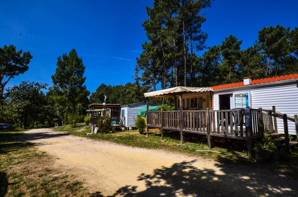 Billeder af Gaia Ecolodge Tæt på