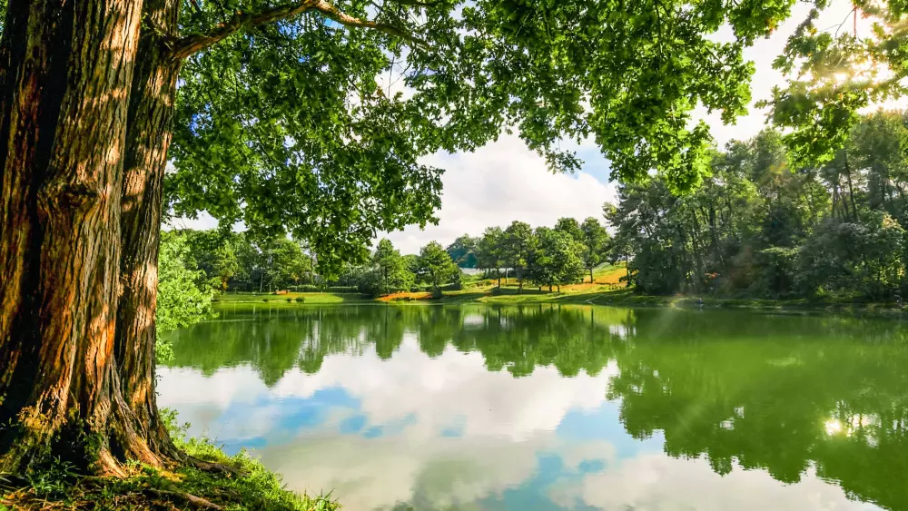 Billeder af Gaia Ecolodge Tæt på