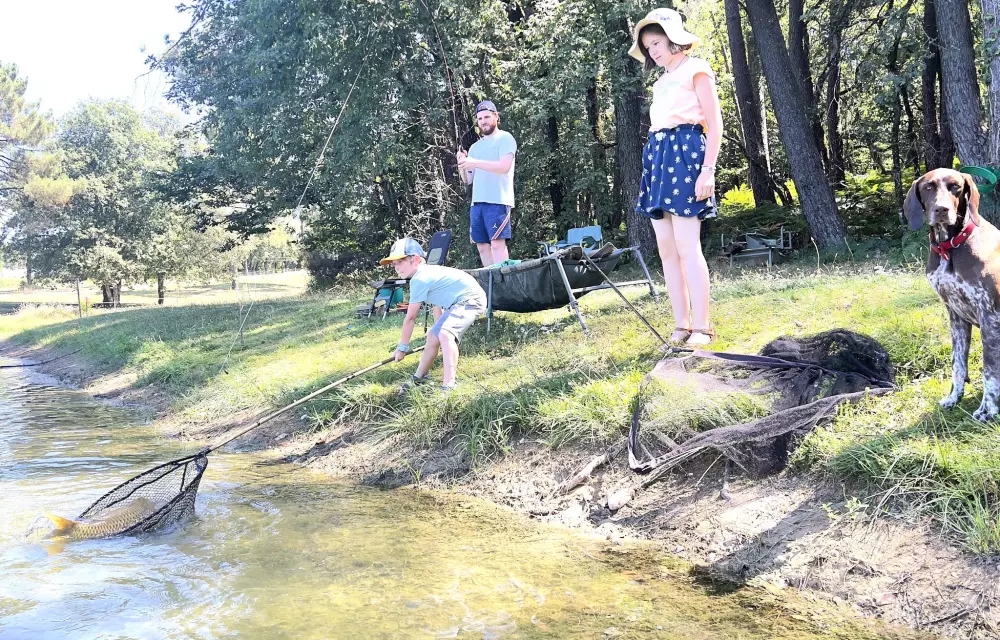 Billeder af Gaia Ecolodge Tæt på