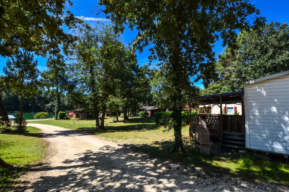 Billeder af Gaia Ecolodge Tæt på