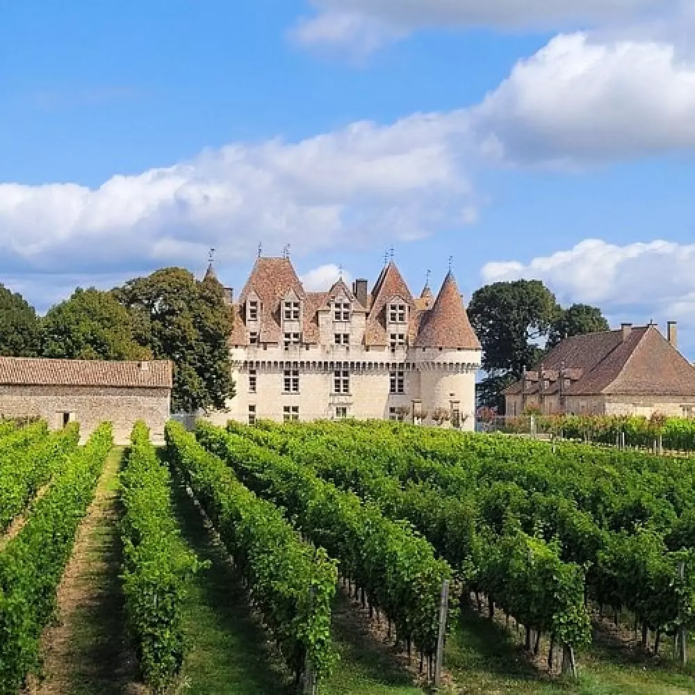 Billeder af Gaia Ecolodge Tæt på