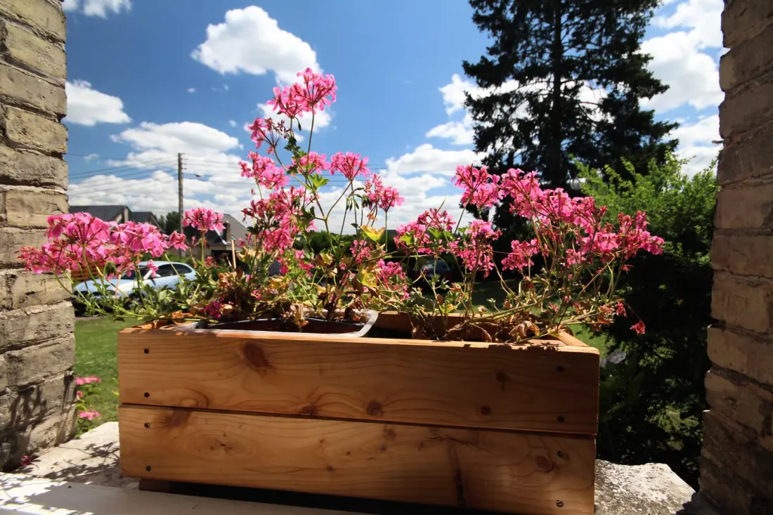 Gîte de France Gîtes de france® - a peonies 3 fül