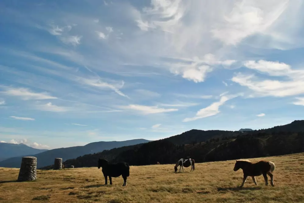 Camping le Bourdieu #