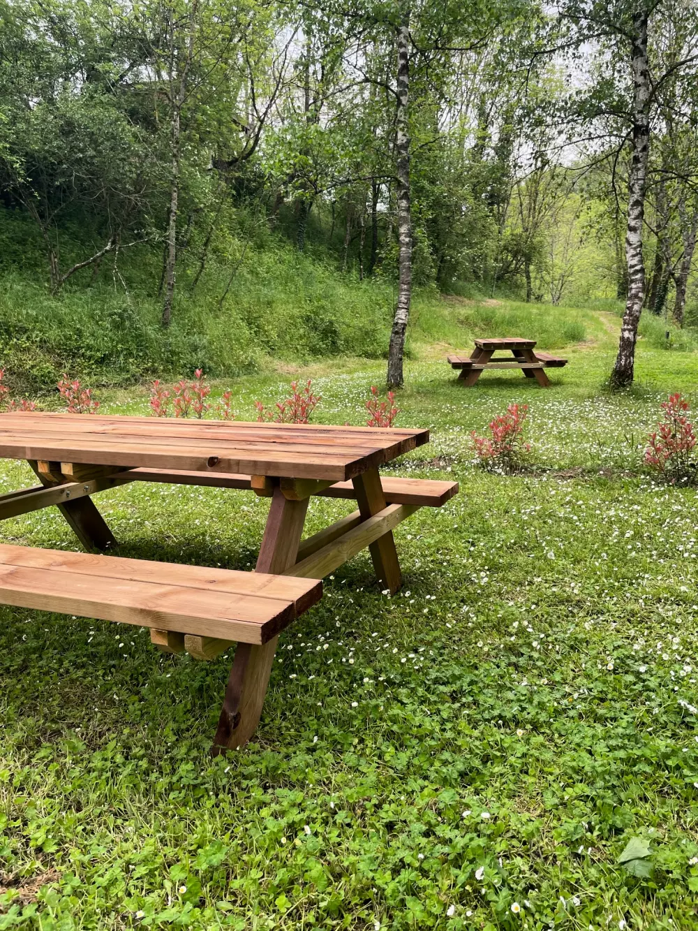 Ushuaïa Villages - Camping l'Oasis 5 Stars★★★★★