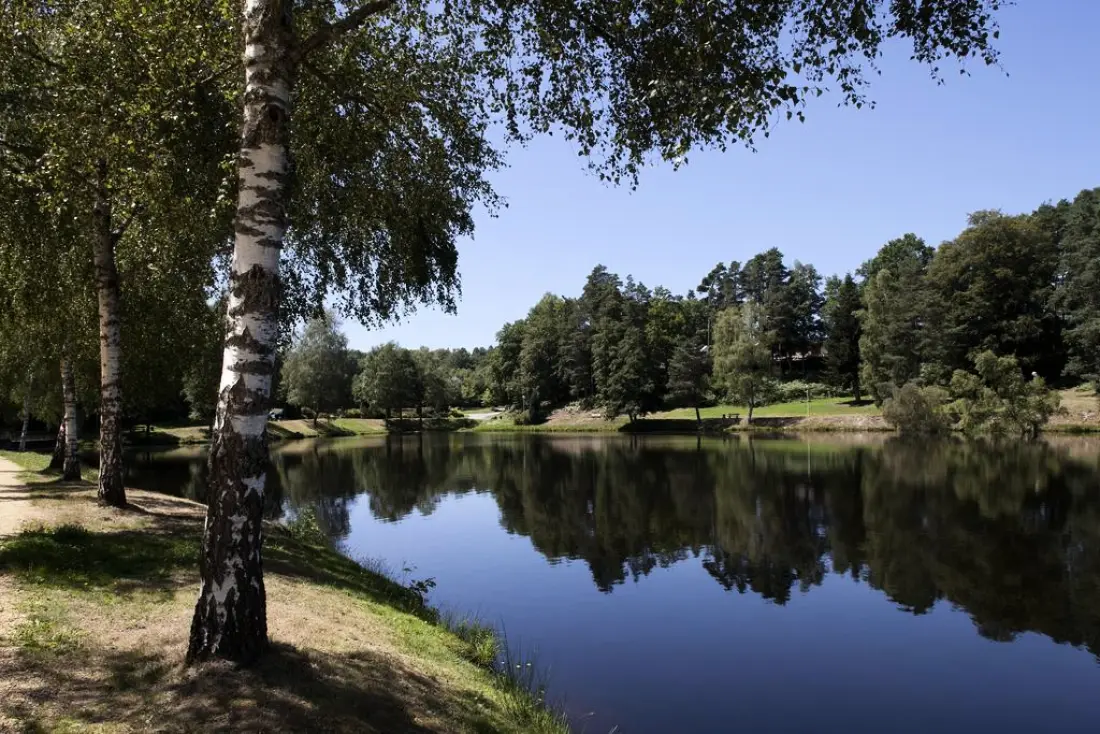 Résidence Vacancéole le Domaine du Bosquet