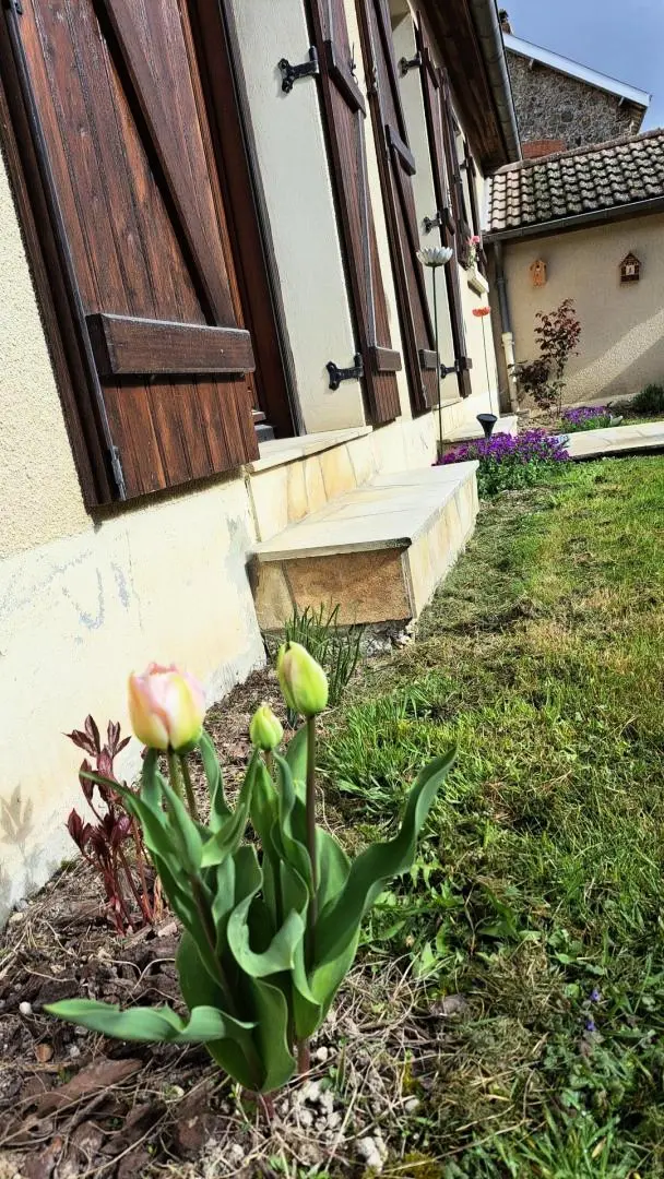 Gîte de France Grandma cocoon 4 Ohren