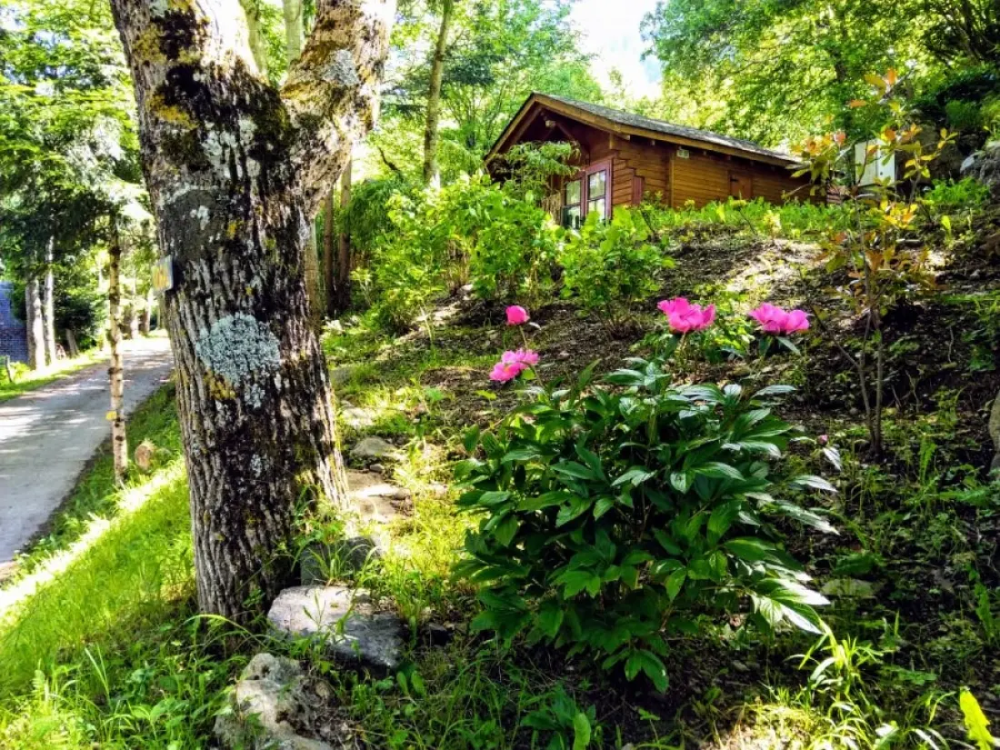 Campsite Bedura Park 3 Csillagok★★★