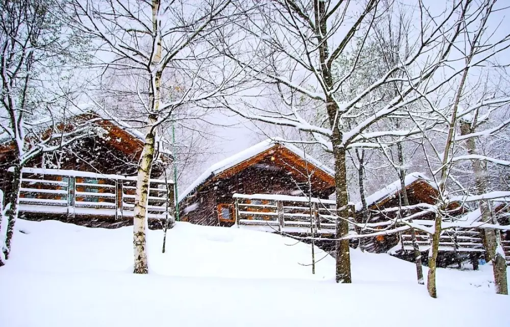 Camping Bedura Park  3 étoiles★★★