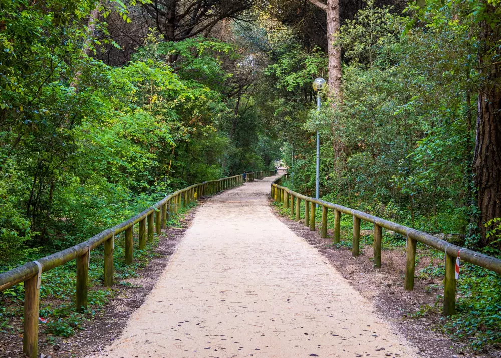 Campsite Portofelice