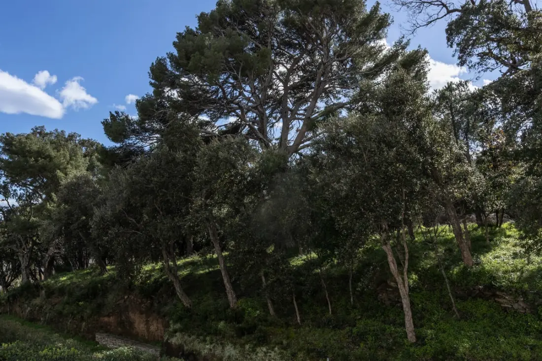 Casa Mare E Monti – Tenger és hegy között Erbalungában