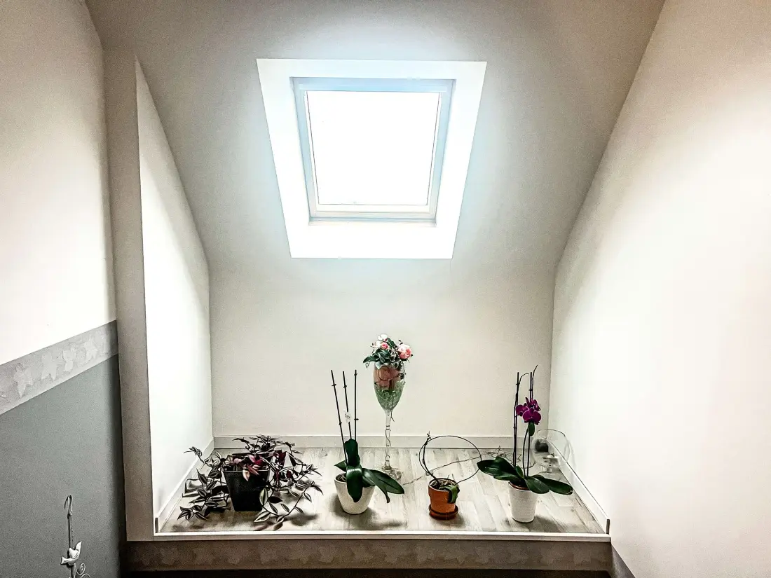 Residence Crucuno 19