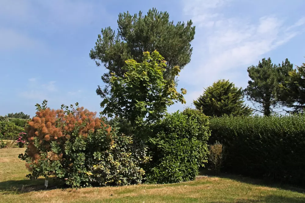 Kemping Des Hautes Grees 3 Gwiazdy★★★ 3 Gwiazdy★★★ 3 Gwiazdy★★★