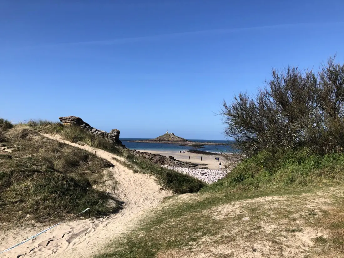 Gîte de France Der Welpe 3 Ohren