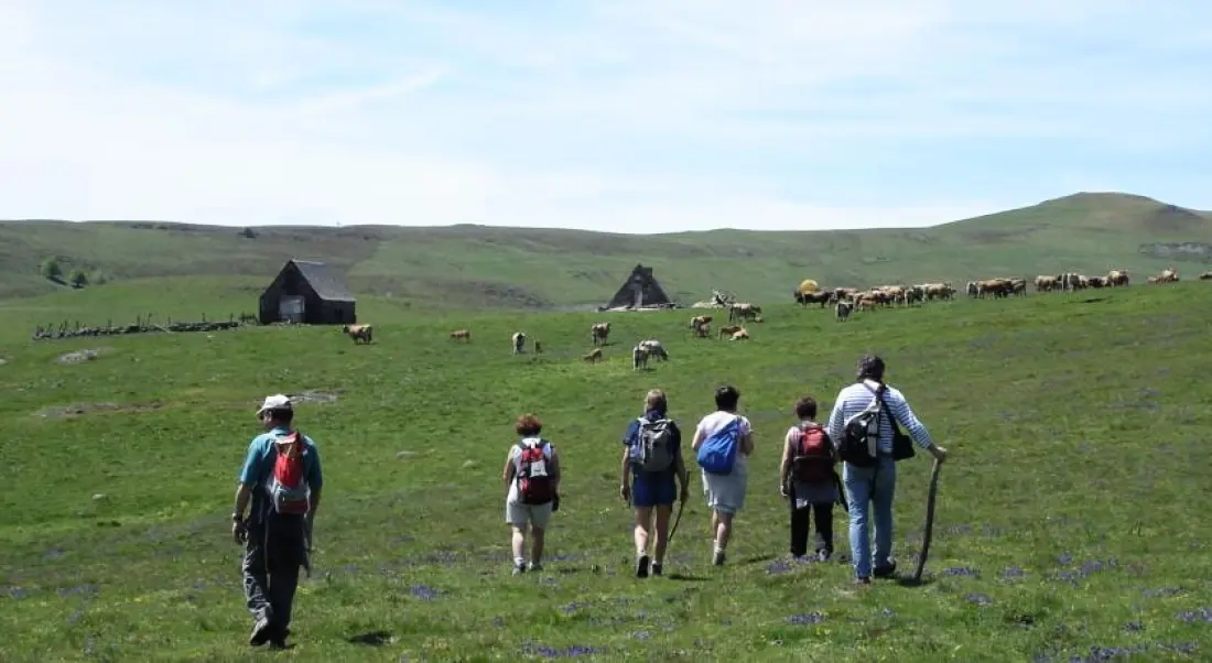 Villaggio turistico Aux Portes des Monts d'Aubrac