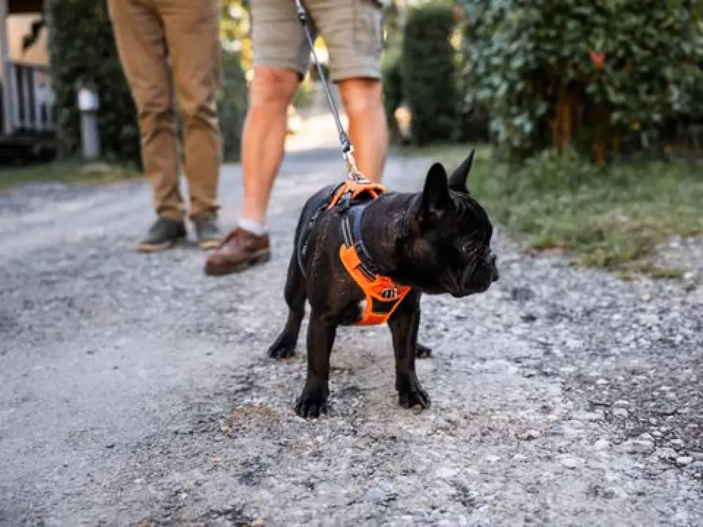 Campsite Biper Gorri - Nie.