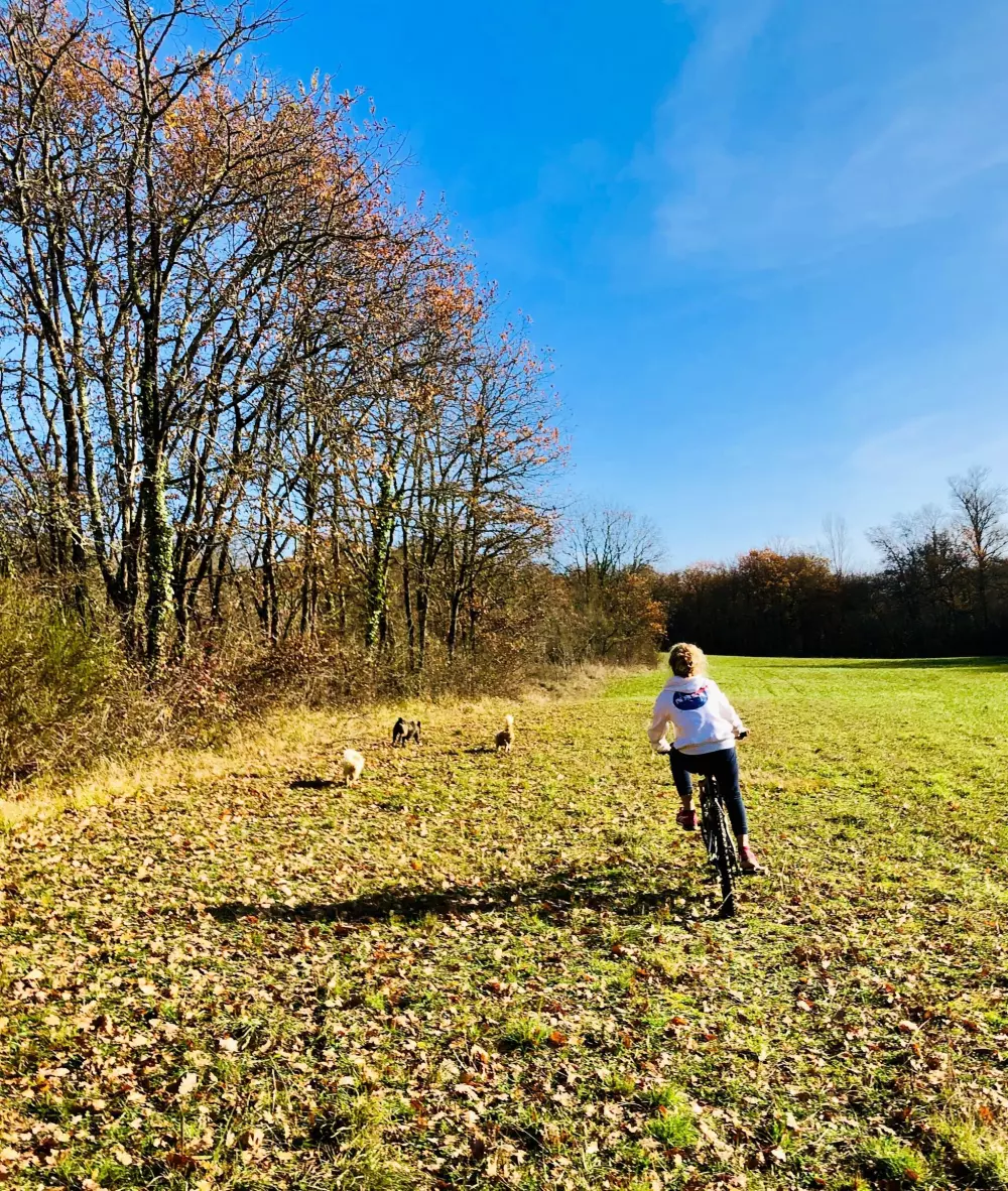 Area of Escapa 4 Stars★★★★