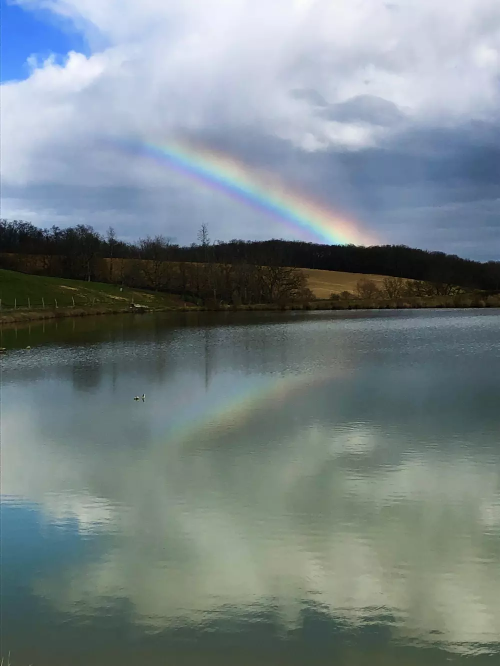 Area of Escapa 4 Stars★★★★