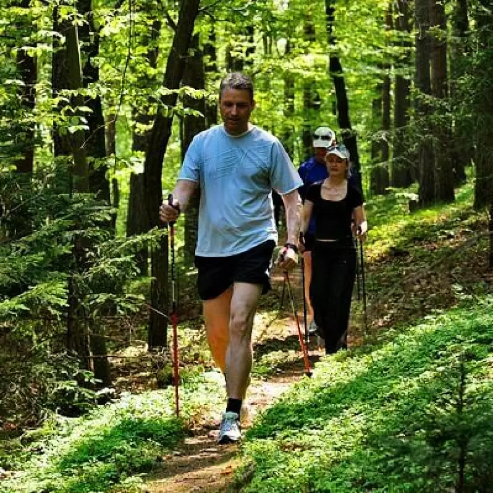 Area of Escapa 4 Stars★★★★