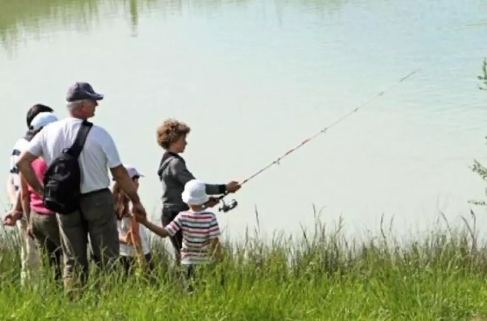 Area of Escapa 4 Stars★★★★