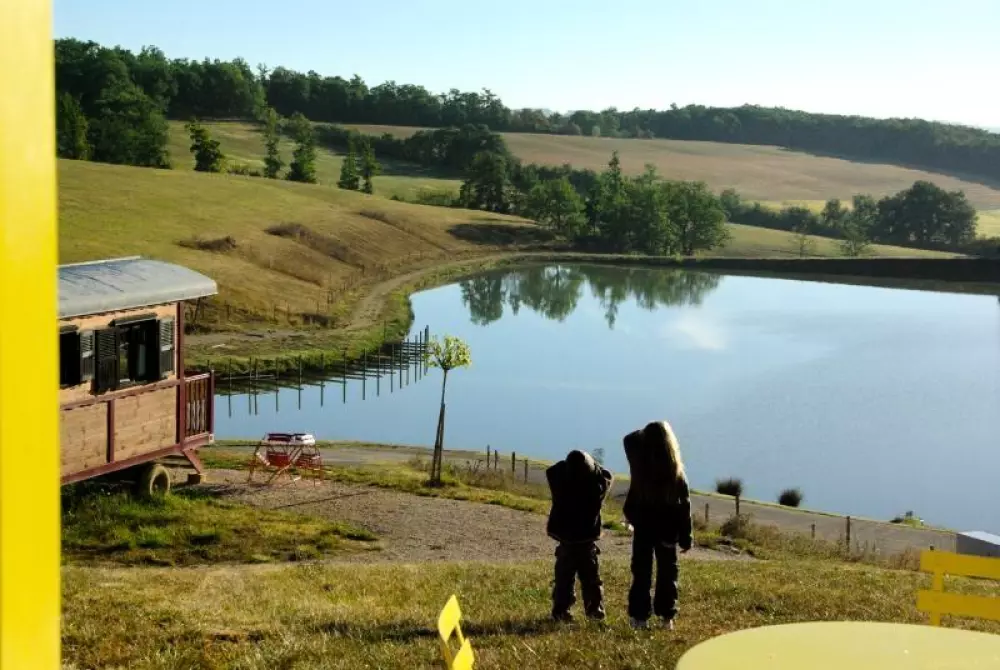 Area of Escapa 4 Stars★★★★