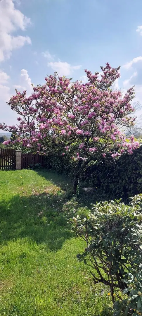 Gîte de France Chez Marcelle 3 Ähren