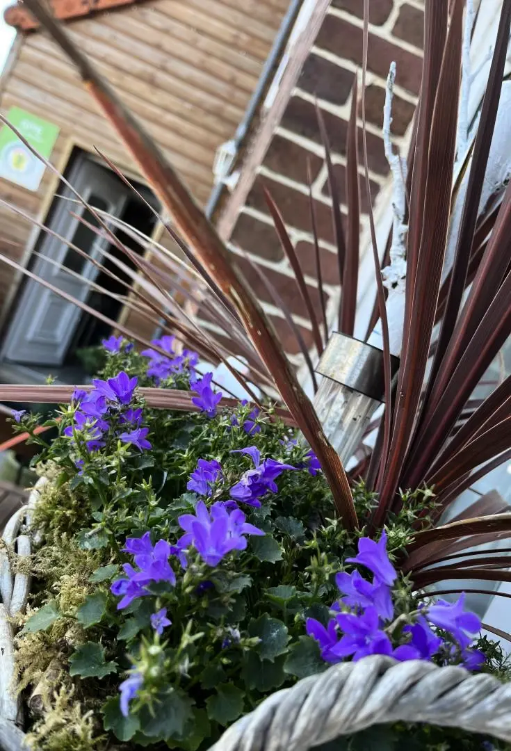 Gîte de France Gîtes de france® - ég és tenger között 3 fül