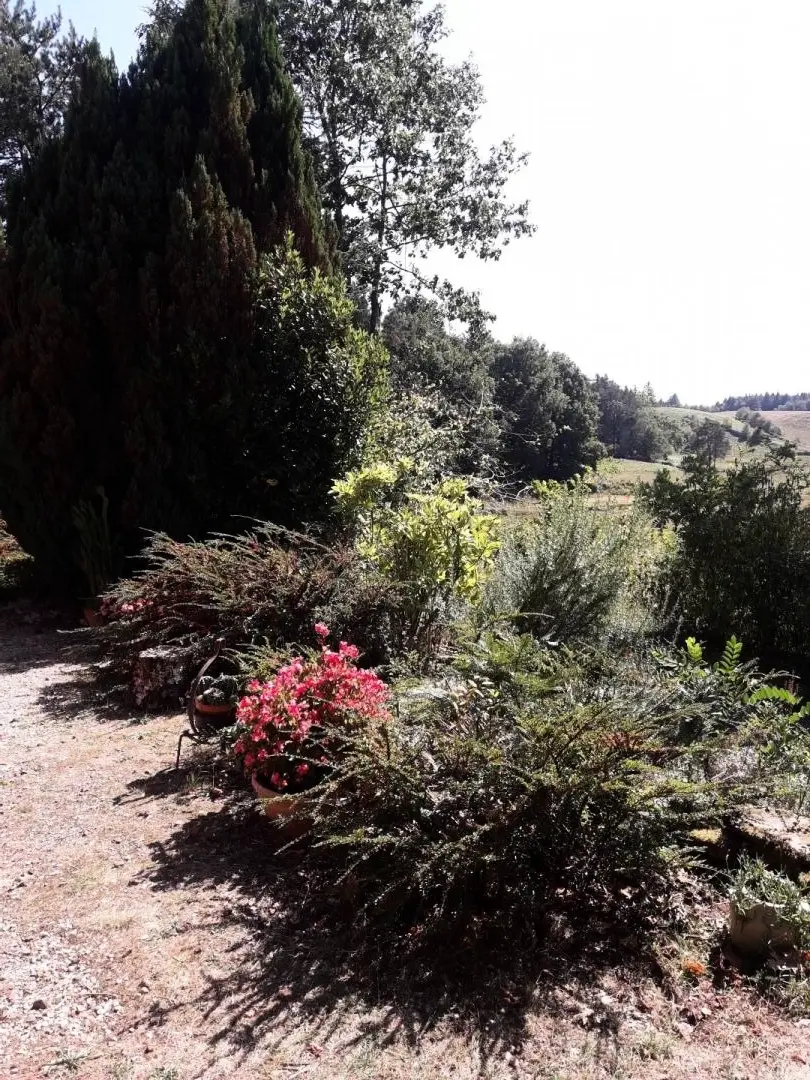 Gîte de France De acacia's 3 oren