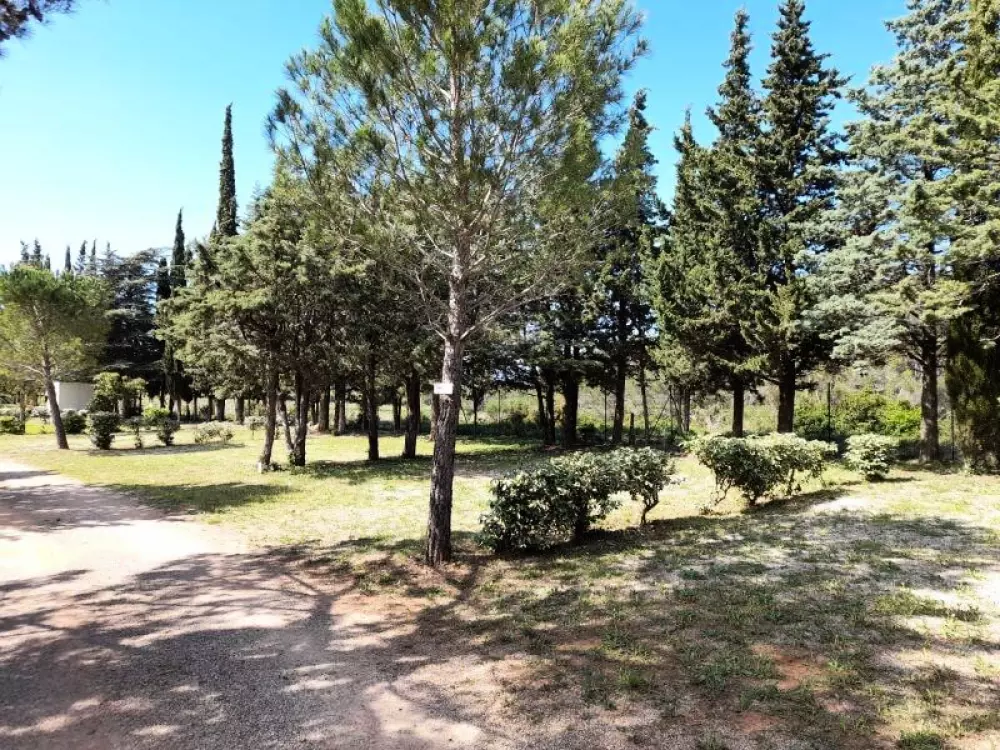 Campsite Le Pinada 3 Stars★★★