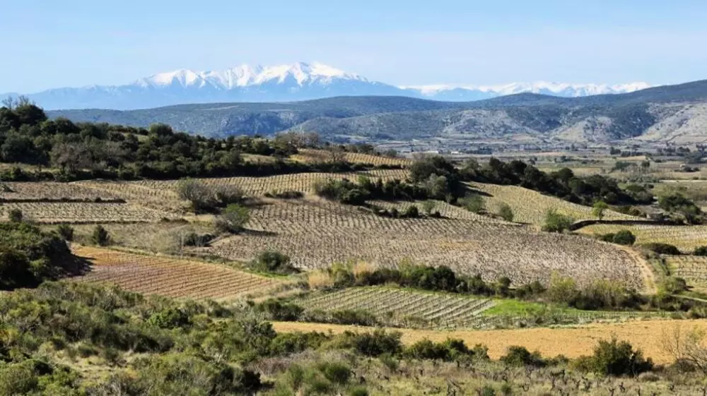 Campsite Le Pinada 3 Stars★★★