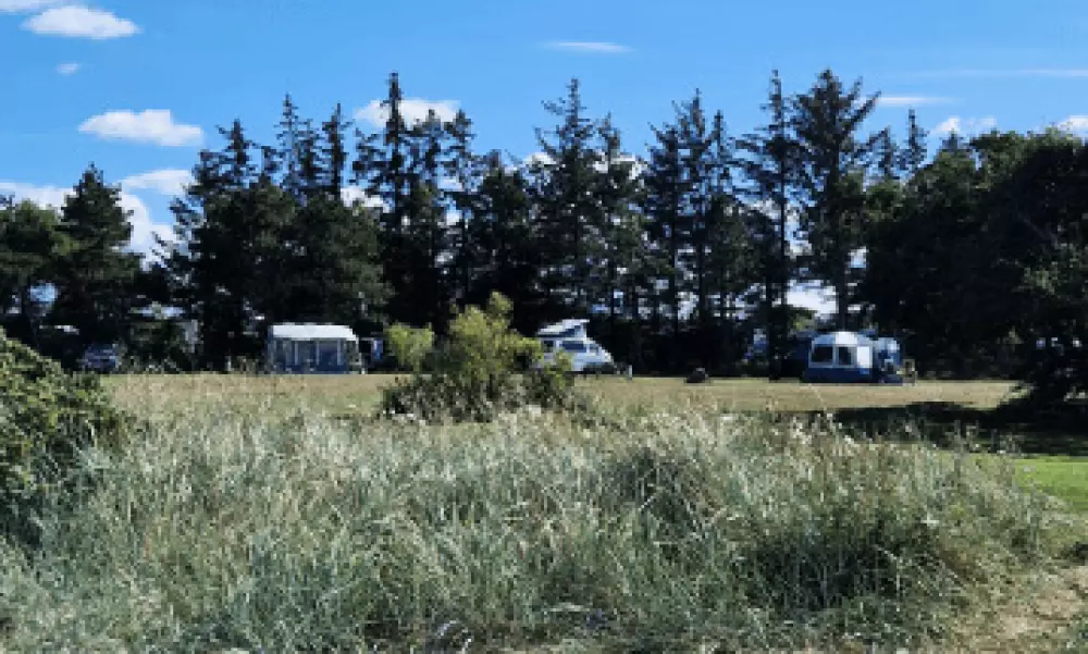 Campeggio per famiglie Hvalpsund 3 Stelle★★★