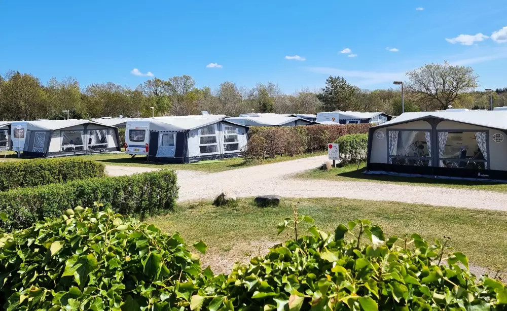 Campeggio per famiglie Hvalpsund 3 Stelle★★★