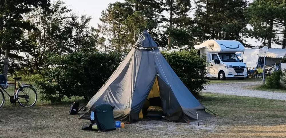 Campeggio per famiglie Hvalpsund 3 Stelle★★★