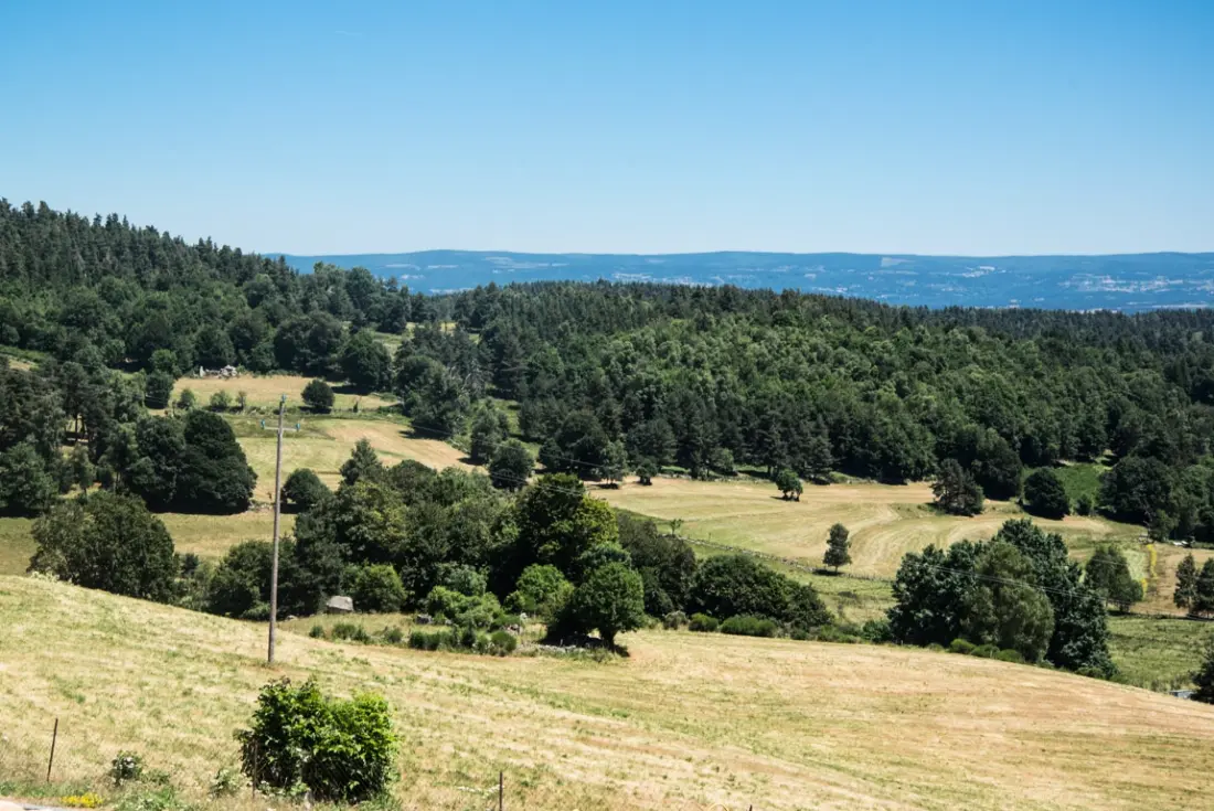Gîte de France Le Gîte des Jonquilles 6/8 Personen 2 Ähren