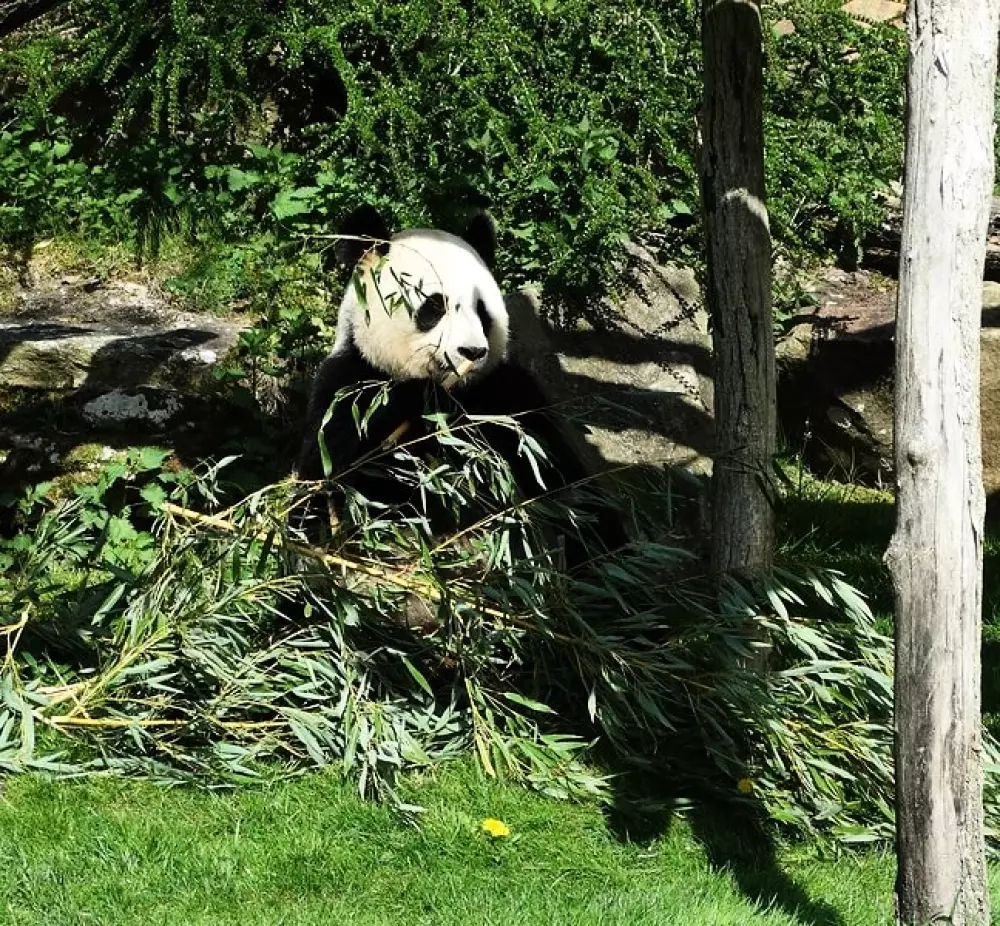 Campingfarben der Welt 4 Sterne★★★★