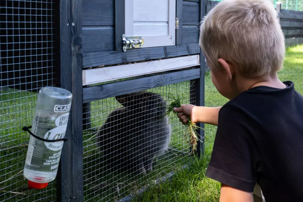 Feddet Strand Resort 5 Stelle★★★★★