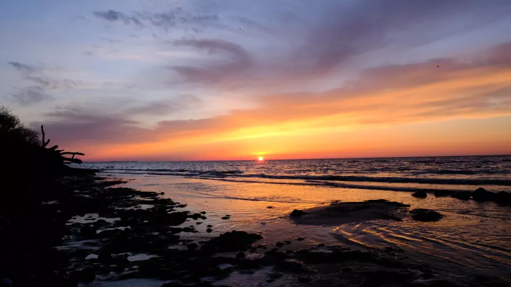 Feddet Strand Resort 5 Stelle★★★★★