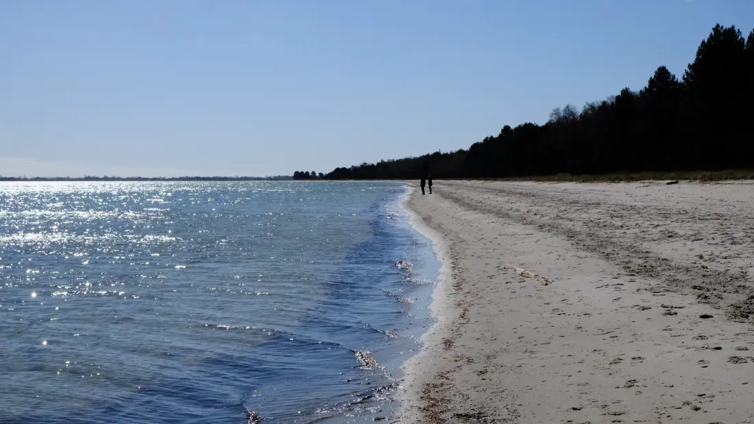 Feddet Strand Resort 5 Csillagok★★★★★