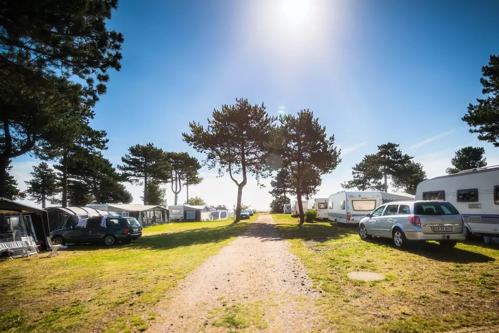 Feddet Strand Resort 5 Stelle★★★★★