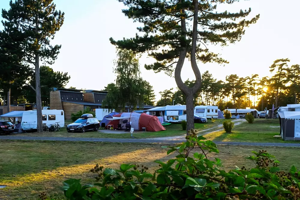 Feddet Strand Resort 5 Stelle★★★★★