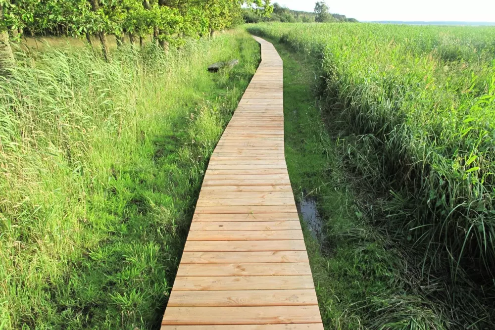 Feddet Strand Resort 5 Stelle★★★★★