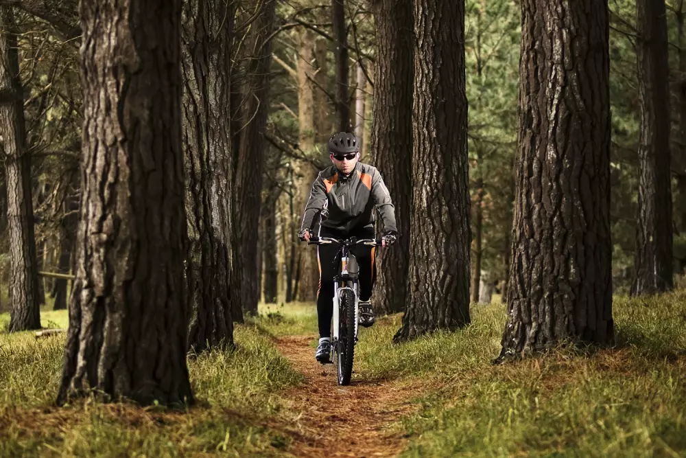 Feddet Strand Resort 5 Stelle★★★★★