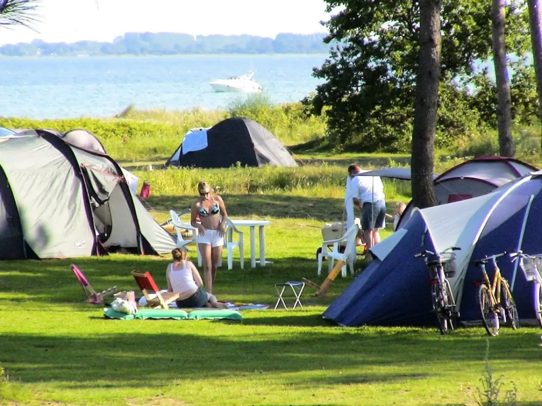 Feddet Strand Resort 5 Csillagok★★★★★